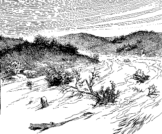 [Illustration] from Philip of Texas by James Otis