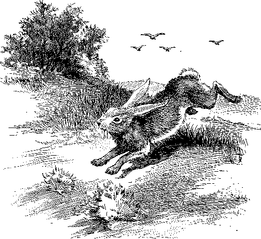 [Illustration] from Philip of Texas by James Otis