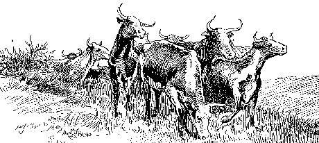 [Illustration] from Philip of Texas by James Otis