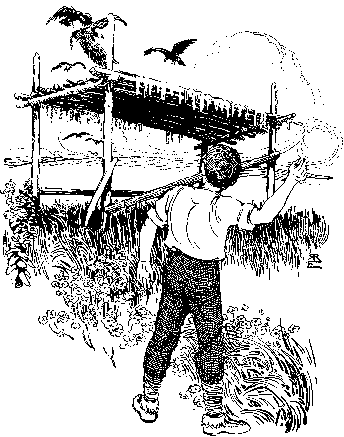 [Illustration] from Philip of Texas by James Otis