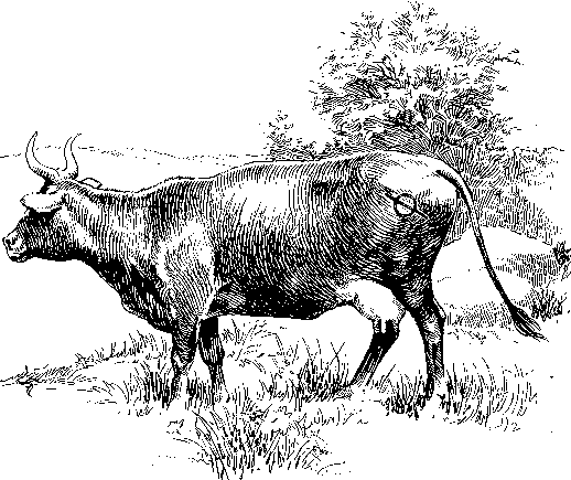 [Illustration] from Philip of Texas by James Otis