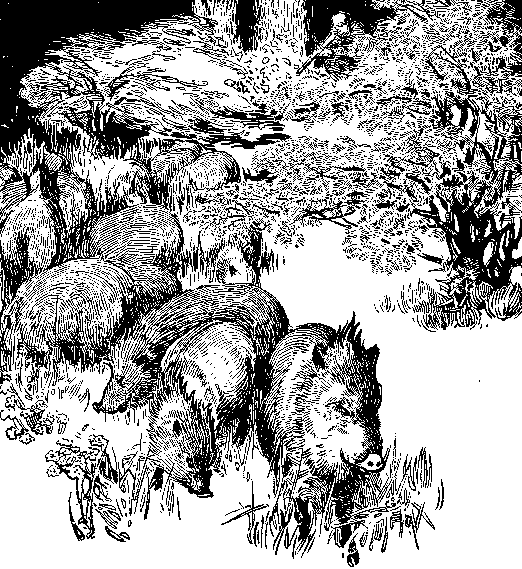 [Illustration] from Philip of Texas by James Otis