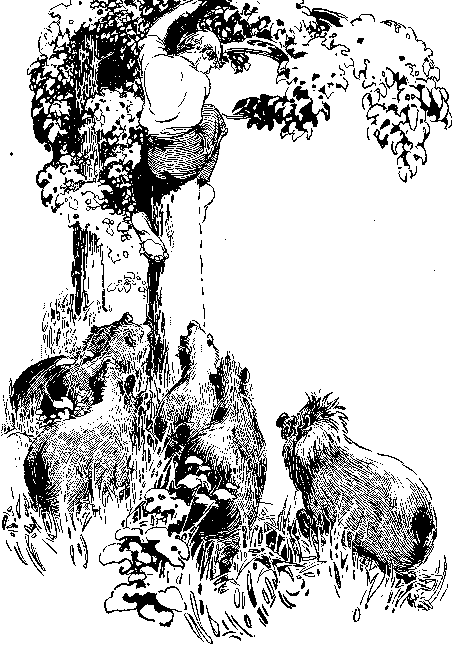 [Illustration] from Philip of Texas by James Otis