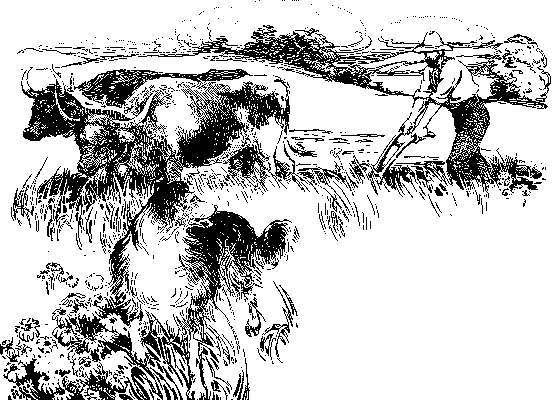 [Illustration] from Philip of Texas by James Otis