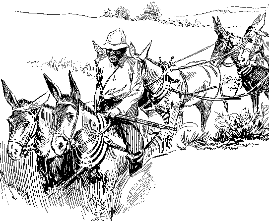 [Illustration] from Philip of Texas by James Otis