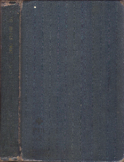 [Cover] from Belgian Twins by Lucy F. Perkins