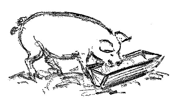 [Illustration] from Belgian Twins by Lucy F. Perkins