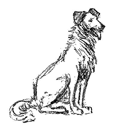 [Illustration] from Belgian Twins by Lucy F. Perkins