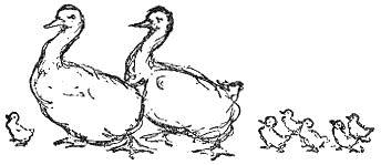 [Illustration] from Dutch Twins by Lucy F. Perkins