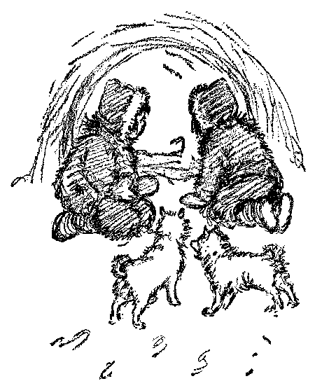 [Illustration] from Eskimo Twins by Lucy F. Perkins