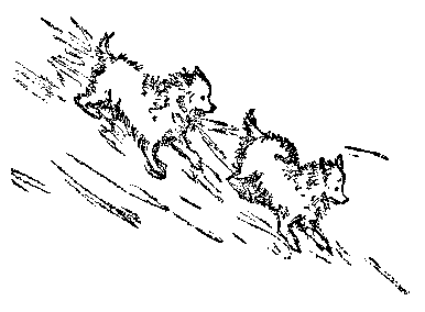 [Illustration] from Eskimo Twins by Lucy F. Perkins