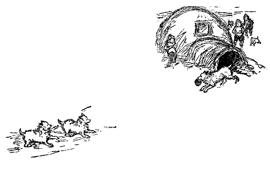 [Illustration] from Eskimo Twins by Lucy F. Perkins