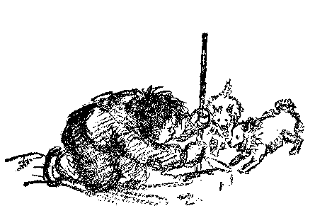 [Illustration] from Eskimo Twins by Lucy F. Perkins