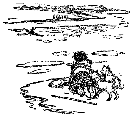 [Illustration] from Eskimo Twins by Lucy F. Perkins