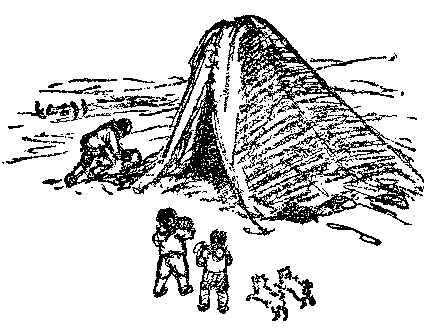 [Illustration] from Eskimo Twins by Lucy F. Perkins