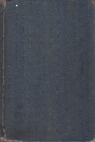 [Book Cover] from Japanese Twins by Lucy F. Perkins