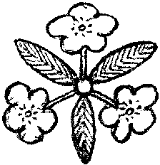 [Illustration] from Japanese Twins by Lucy F. Perkins