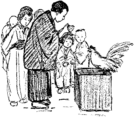 [Illustration] from Japanese Twins by Lucy F. Perkins