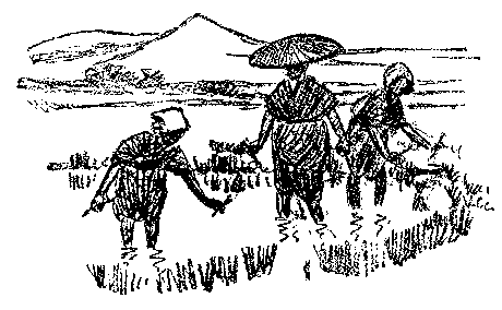 [Illustration] from Japanese Twins by Lucy F. Perkins