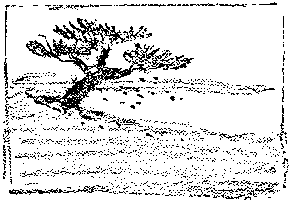 [Illustration] from Japanese Twins by Lucy F. Perkins