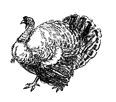 [Illustration] from Mexican Twins by Lucy F. Perkins