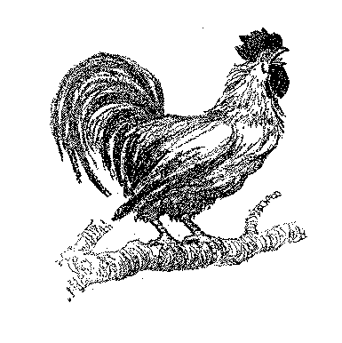 [Illustration] from Mexican Twins by Lucy F. Perkins