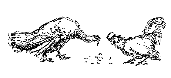 [Illustration] from Mexican Twins by Lucy F. Perkins