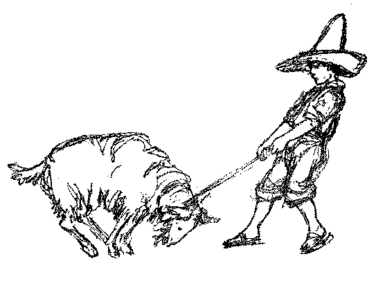 [Illustration] from Mexican Twins by Lucy F. Perkins