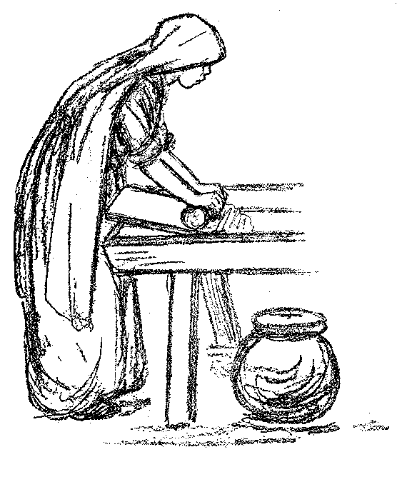 [Illustration] from Mexican Twins by Lucy F. Perkins