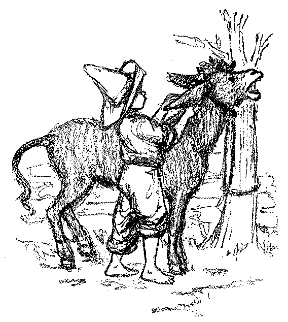 [Illustration] from Mexican Twins by Lucy F. Perkins