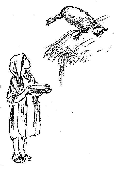 [Illustration] from Mexican Twins by Lucy F. Perkins