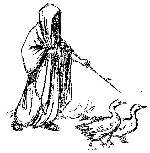 [Illustration] from Mexican Twins by Lucy F. Perkins