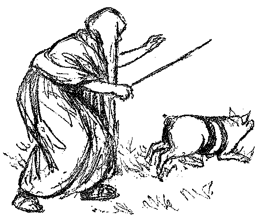 [Illustration] from Mexican Twins by Lucy F. Perkins