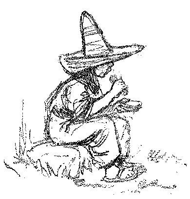 [Illustration] from Mexican Twins by Lucy F. Perkins