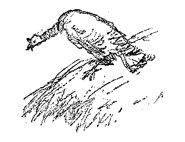 [Illustration] from Mexican Twins by Lucy F. Perkins