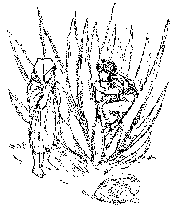 [Illustration] from Mexican Twins by Lucy F. Perkins