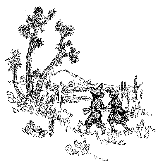 [Illustration] from Mexican Twins by Lucy F. Perkins