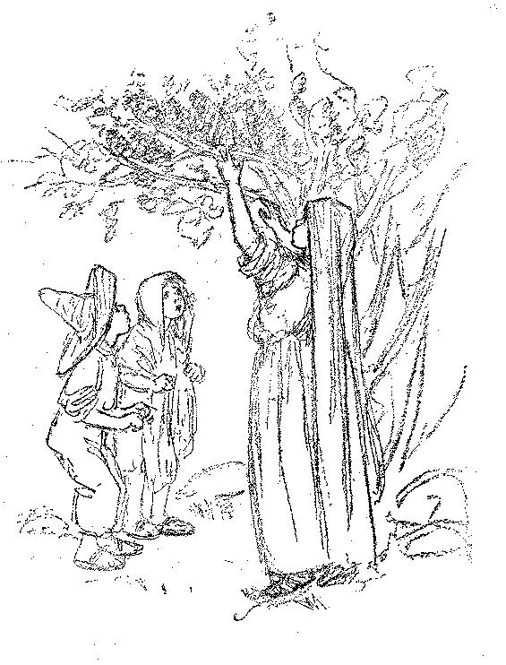 [Illustration] from Mexican Twins by Lucy F. Perkins