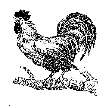 [Illustration] from Mexican Twins by Lucy F. Perkins