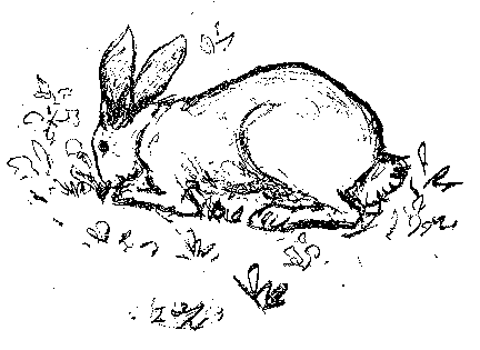 [Illustration] from Scotch Twins by Lucy F. Perkins