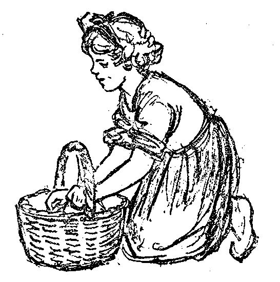 [Illustration] from Scotch Twins by Lucy F. Perkins