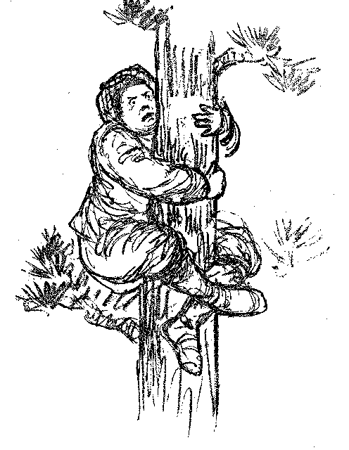 [Illustration] from Scotch Twins by Lucy F. Perkins