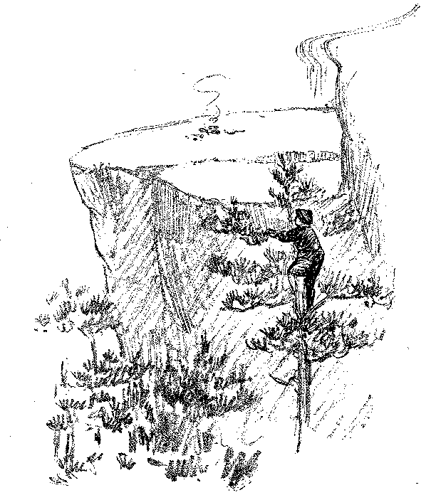 [Illustration] from Scotch Twins by Lucy F. Perkins