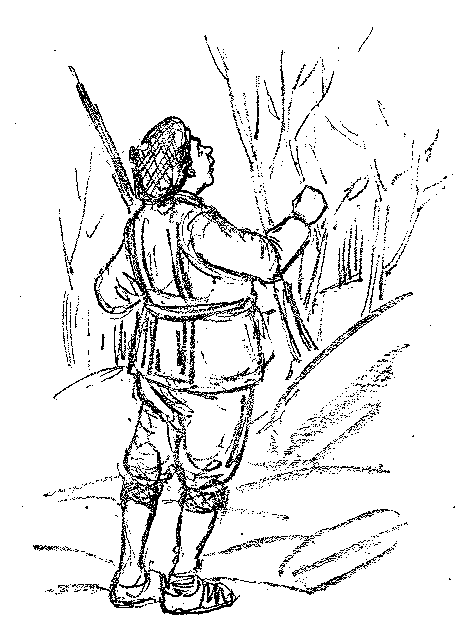 [Illustration] from Scotch Twins by Lucy F. Perkins