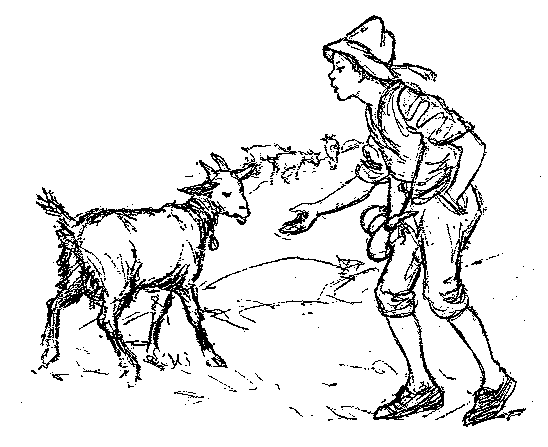 [Illustration] from Swiss Twins by Lucy F. Perkins