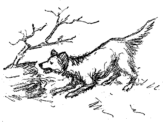 [Illustration] from Swiss Twins by Lucy F. Perkins