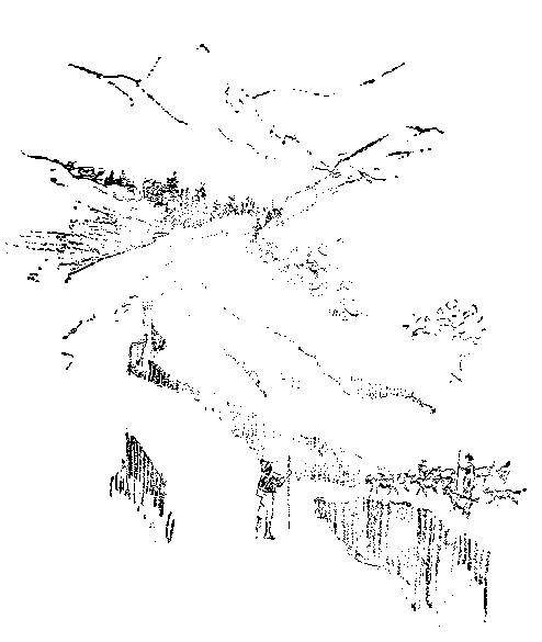 [Illustration] from Swiss Twins by Lucy F. Perkins