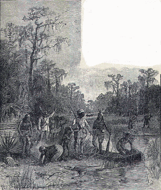 Seminole Indians
