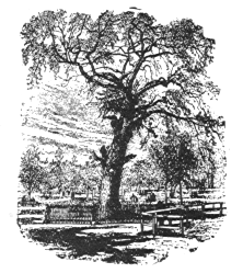 [Illustration] from American History Stories - I by Mara L. Pratt