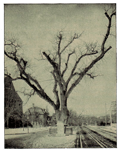 [Illustration] from American History Stories - II by Mara L. Pratt